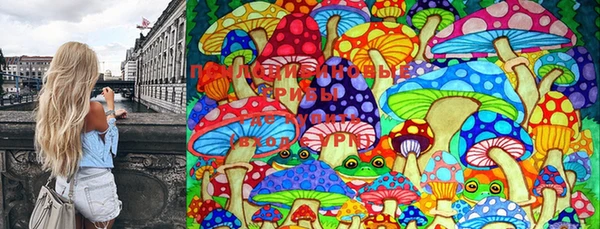 крисы Алзамай