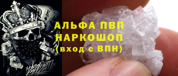 крисы Алзамай