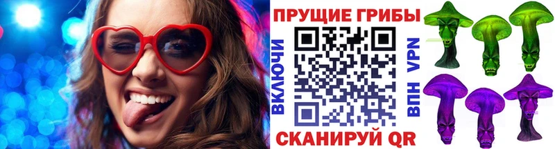 KRAKEN как зайти  Краснознаменск  Галлюциногенные грибы Psilocybe 